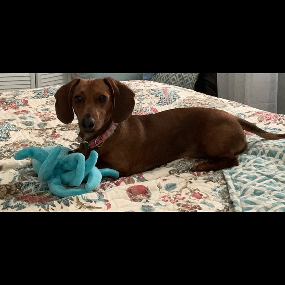 Welcome! - Picture 2 of 5